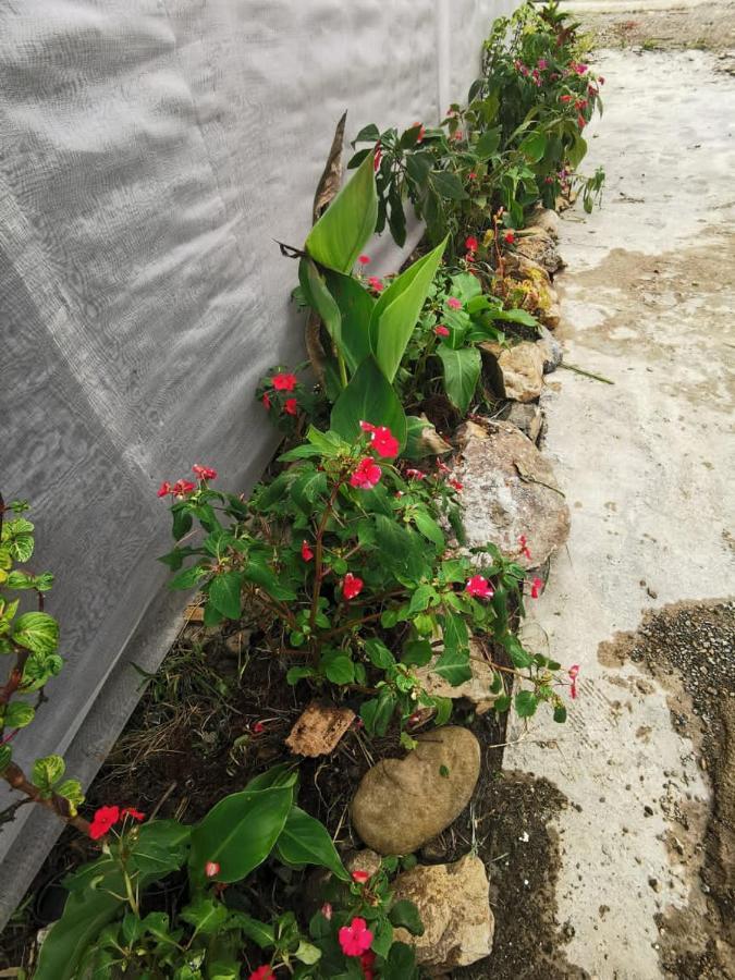 Dreamcatcher Homestay, Kundasang Ranau Exterior foto